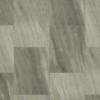 Volans
VV016-01860