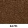 00204 - Camel